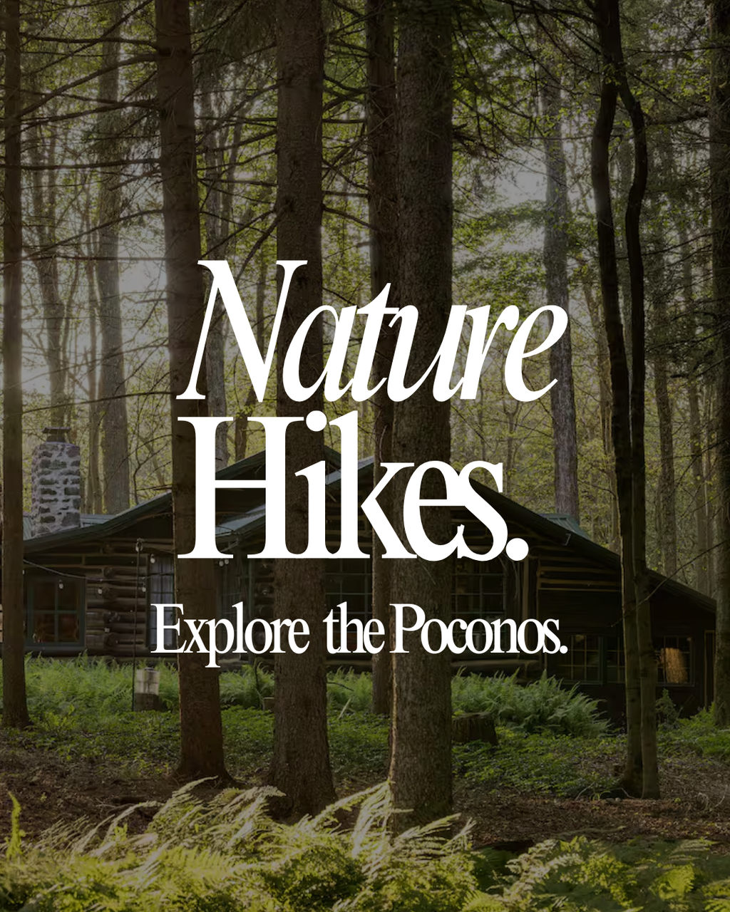 Wellness Weekend Retreat