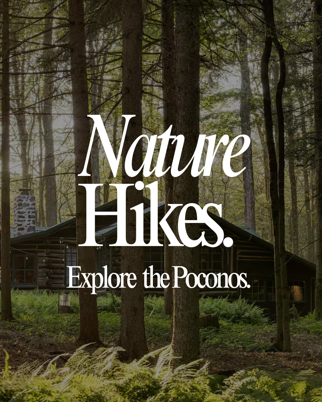 Wellness Weekend Retreat